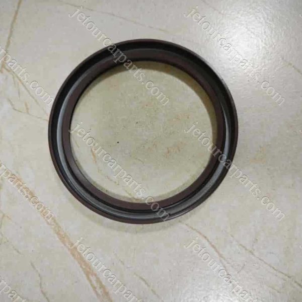 481h-1005030ba shaft sealing ring 210