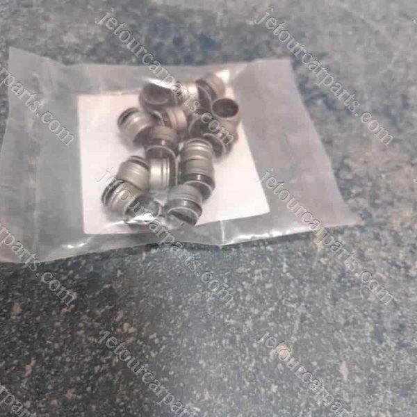 481h-1007020 valve sealing 214