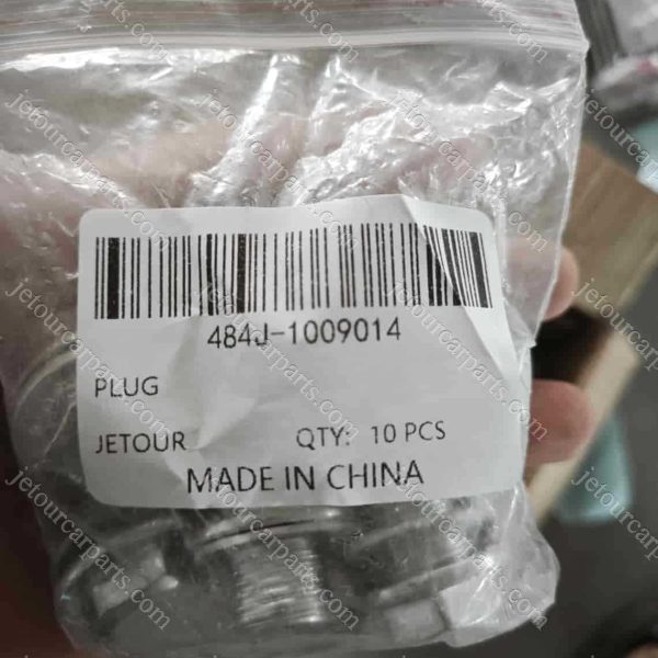 484j-1009014 plug 1617