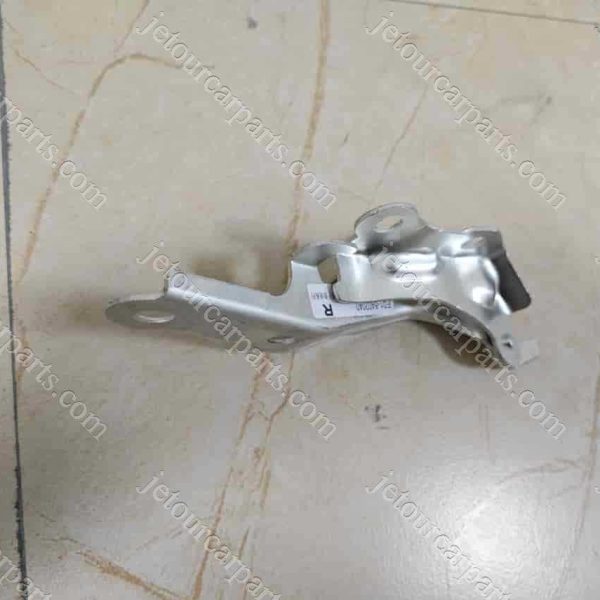 f01-8402040-dy right hinge-hood 494
