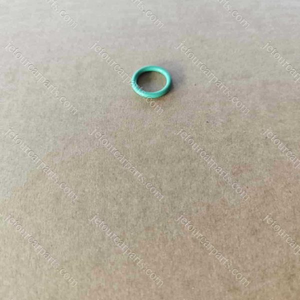 f16-8108002 o-ring 924