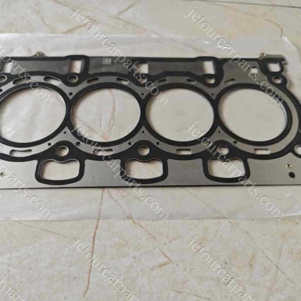 f4j16-1003016 gasket 1411